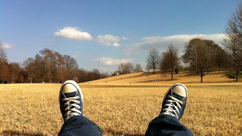 プログラミング教室と塾の違い|AI時代・必修化で親が知っておくこと